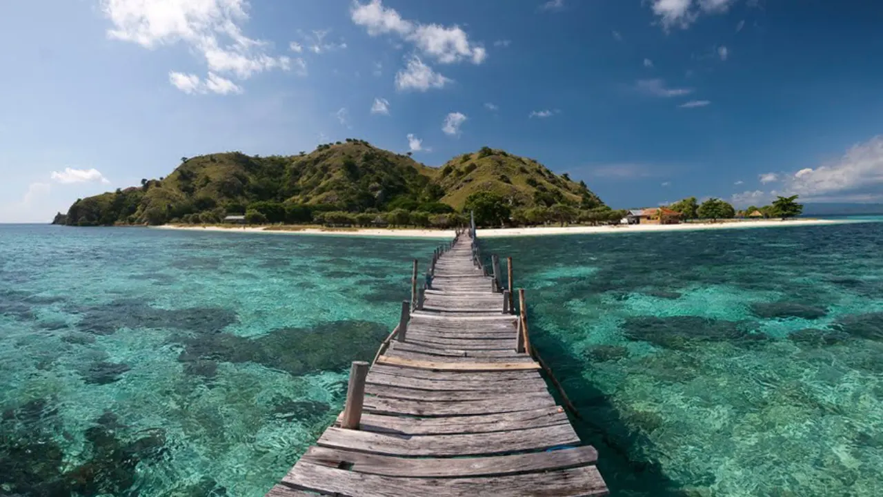 Daily-Komodo-Tour-by-Speedboat-By-Ift-Img9