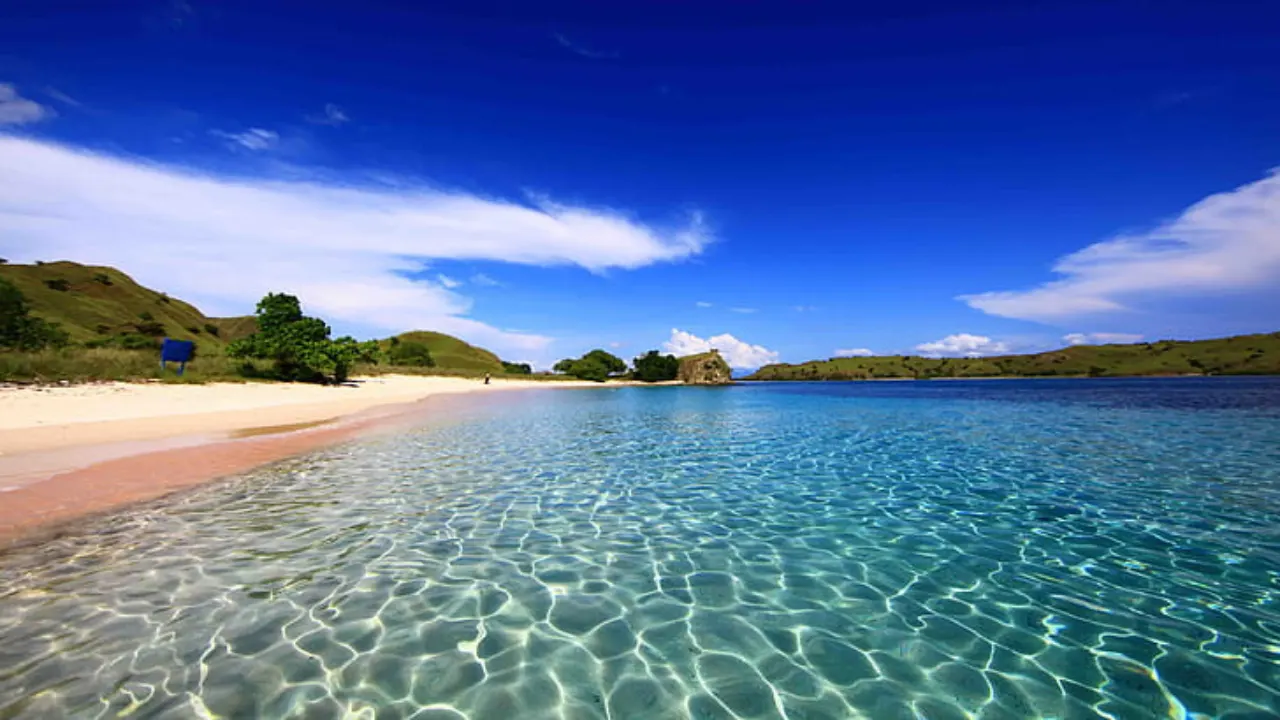 Komodo-Tour From-Labuan-Bajo-by-Private-Speed-Boat-By-Indonesia-Flores-Tour-Img2