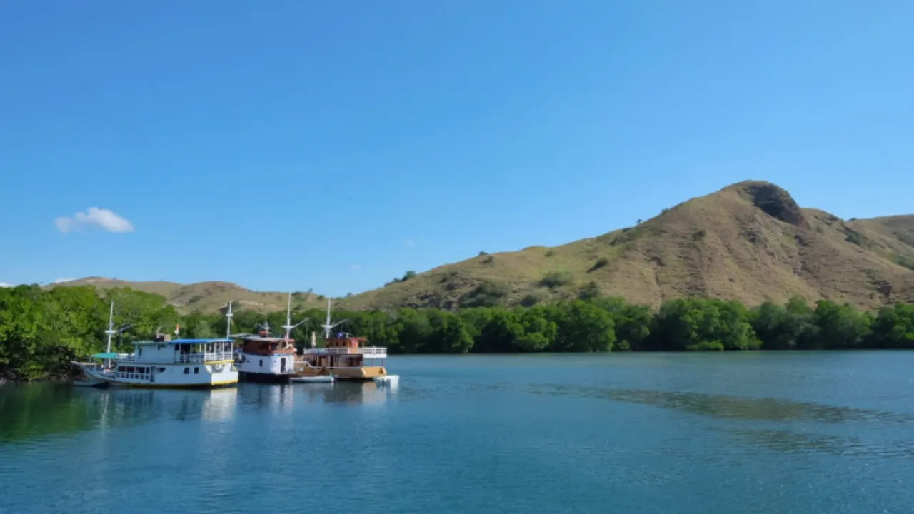 Komodo-Tour-From Bali-Half Board-By-Indonesia-Flores-Tour-Img2