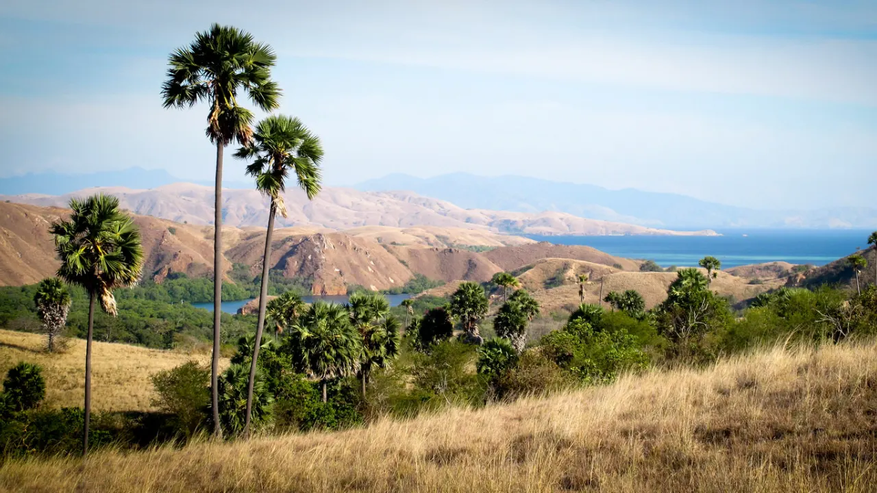 Komodo-Tour-From Bali-Half Board-By-Indonesia-Flores-Tour-Img4