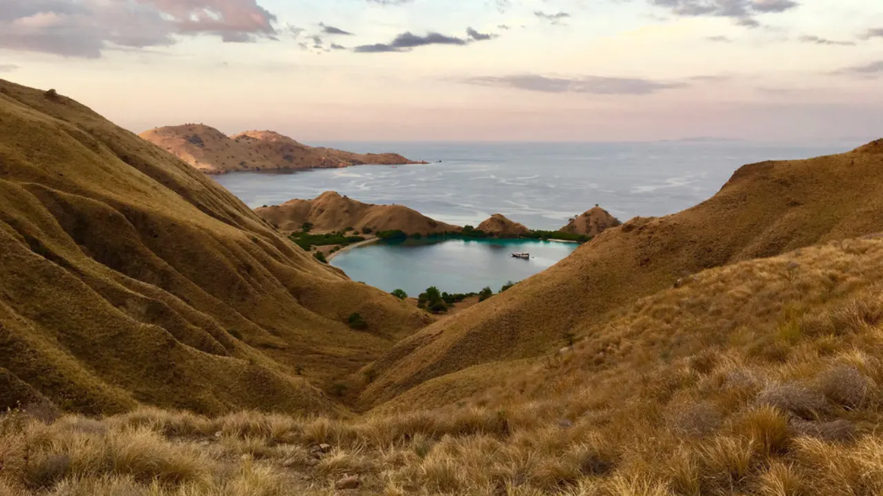 Komodo-Tour-From-Bali-or-Flores-4-Days-3-Nights-By-Indonesia-Flores-Tour-Img8
