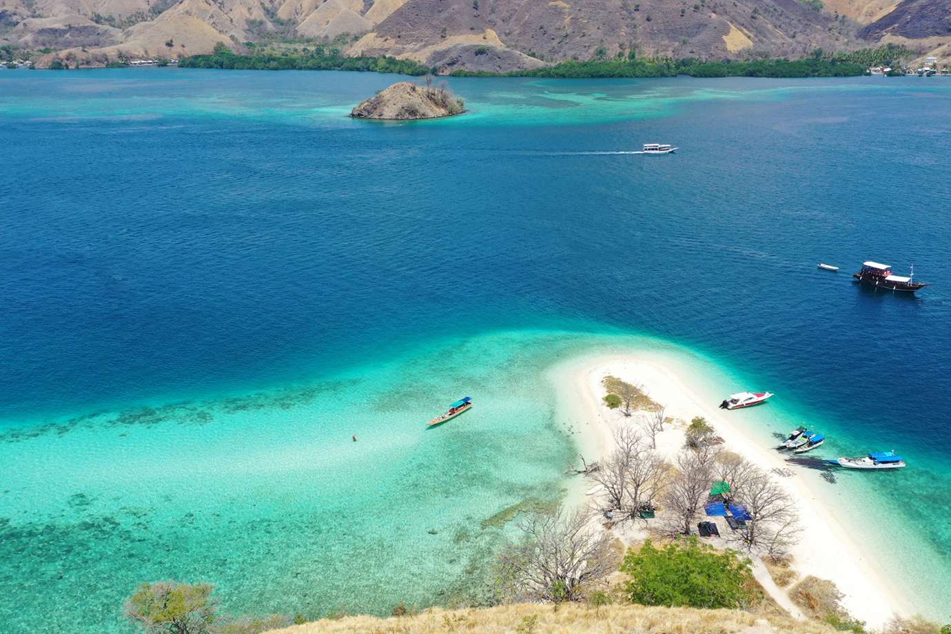 Komodo Tour From Bali-One Day Trip With Speed Boat